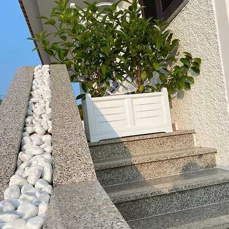 Da Rosa 奧爾比亞
